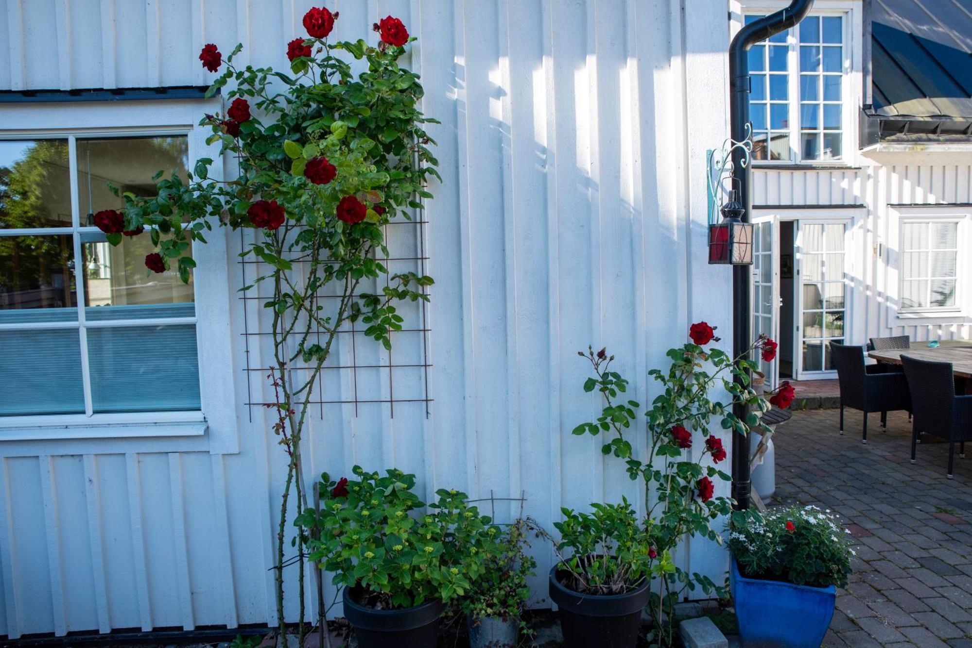 Guest House Tullgatan 24 Боргхольм Экстерьер фото